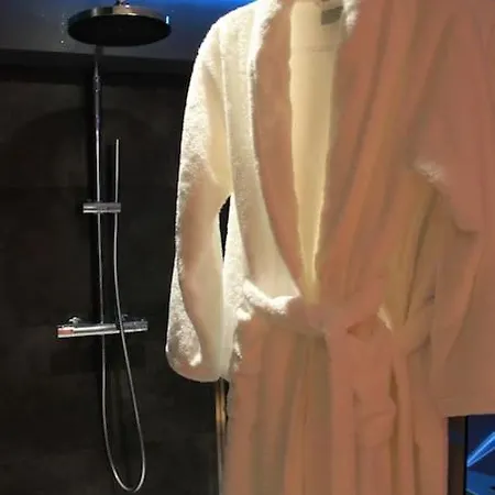 L'ecrin Duplex Balneo & Sauna * Troyes