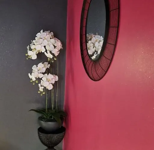 L'ecrin Duplex Balneo & Sauna * Troyes